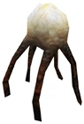 Xen fungus model