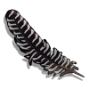 Banded Quill-icon.png