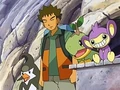EP515 Brock con Aipom, Staravia y Turtwig.jpg