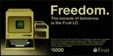 FruitComputers-GTAVCS-advert