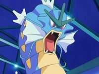 EP552 Gyarados de Mananti (2)