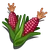 Sweet Corn (Sweet Seeds for Haiti)-icon