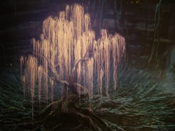 Baum der Seelen3