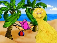 JTE-beach2