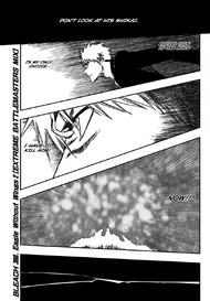Bleach 388 cover