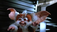 MogwaiDaffy