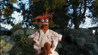 Pepe martial arts