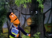 Hereisyrlifetree.jpg