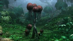 Bovistenbaum