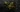 DEFlag