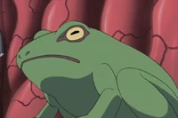 Kaeru ni Kaeru2