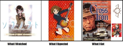 Wsg