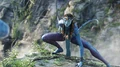 Na'viPhysio