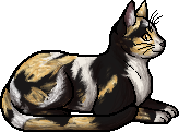 Die WindClan-Chroniken Dappletail.elder