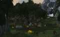 The Twisted Glade.jpg