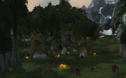 The Twisted Glade