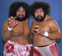 Wild Samoans.jpg