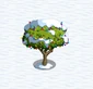 Apple Tree snow