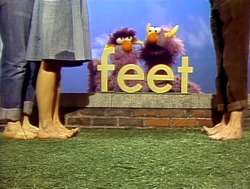 2head.Feet