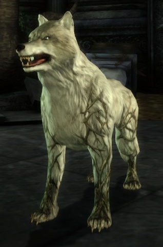 http://images2.wikia.nocookie.net/__cb20100125212437/dragonage/images/2/28/Creature-Witherfang.jpg