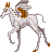 Niveusenoxhatchling.gif