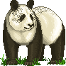 Xandbearadult.gif