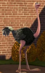 Ostrich2