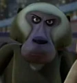 Baboon1.jpg