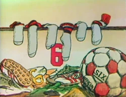 6SoccerSocks