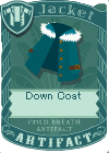 Down Coat.png