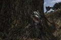 Dino stalker 05 07 2002 03 640w.jpg