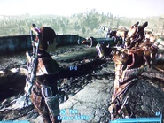User Chipgambino 2