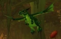 Adolescent Whelp.jpg