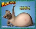 Gloria3.jpg