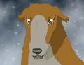 Rocket in blizzard.jpg