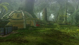 GrtForest-camp