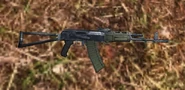 AKmTPS01