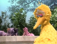 BigBirdDoesn'tFly