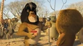 Madagascar2pic15.jpg
