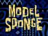 Model Sponge.jpg