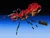 3582-Ant