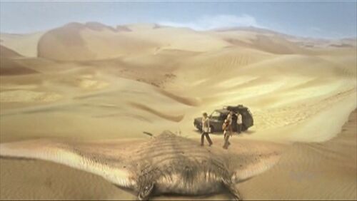 Giant sand ray - The Sanctuary Network, Sanctuary For All