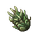 Jade Spike Plant