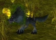 Diseased Timber Wolf.jpg