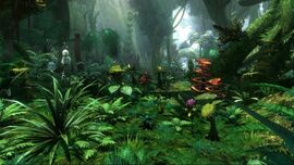 Flora Pandora2