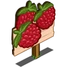 Raspberries