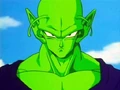 PIccolo12