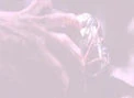 Flash-sideways timeline