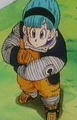 Bulma5