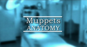 MuppetsAnatomy